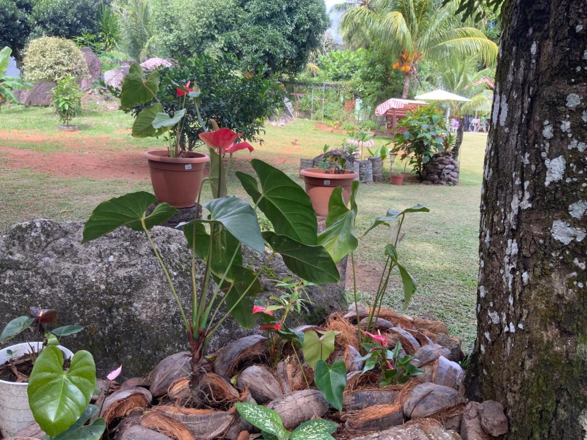 The Orchard Holiday Home Grand Anse  Exterior photo