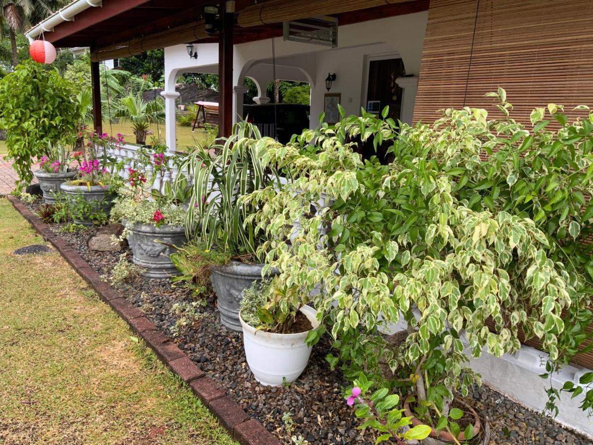 The Orchard Holiday Home Grand Anse  Exterior photo